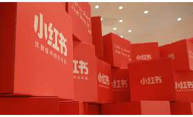 白手起家,逆境中的电影梦 白手起家,逆境中的电影梦